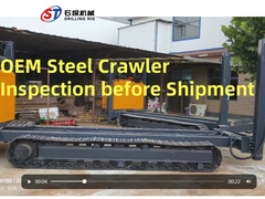 Do you have any interest in  Loading Capacity Alloy Steel Crawler Track Undercarriage Wear Resisting